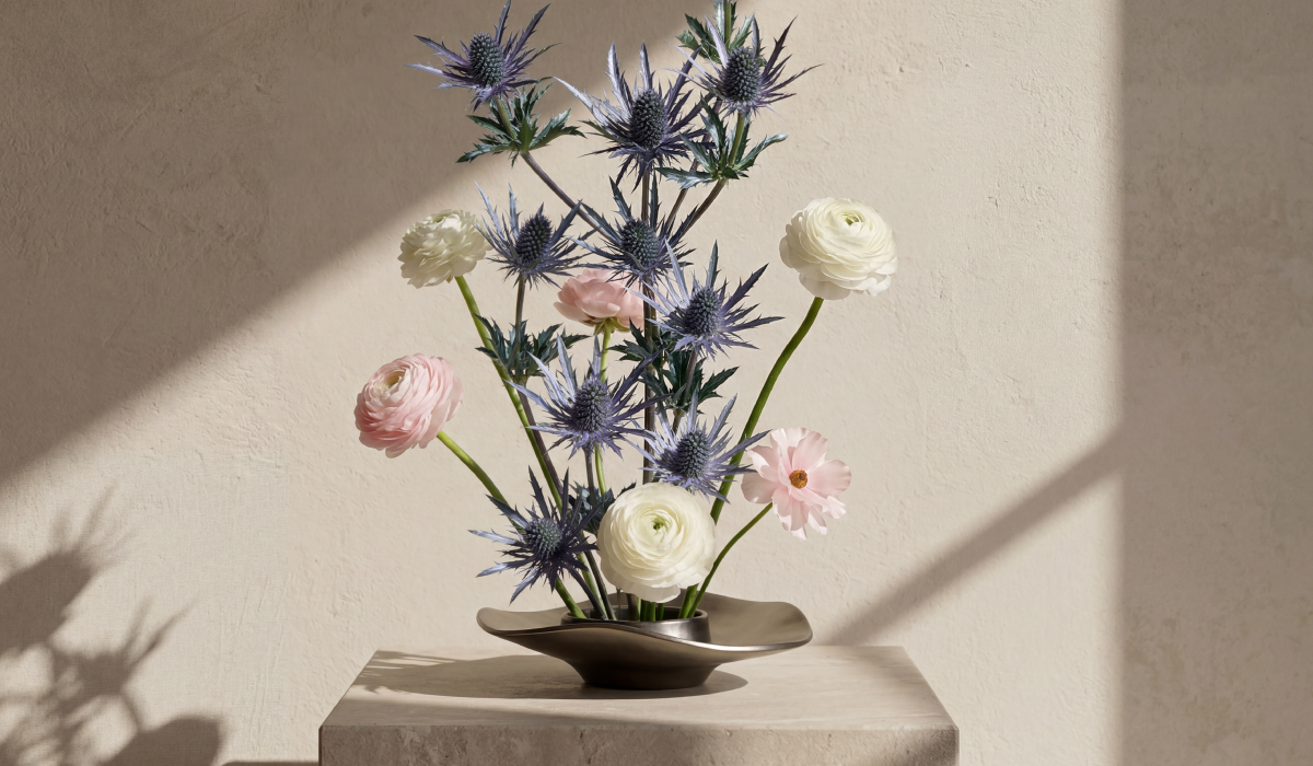 Eryngium: The Strategic Anchor