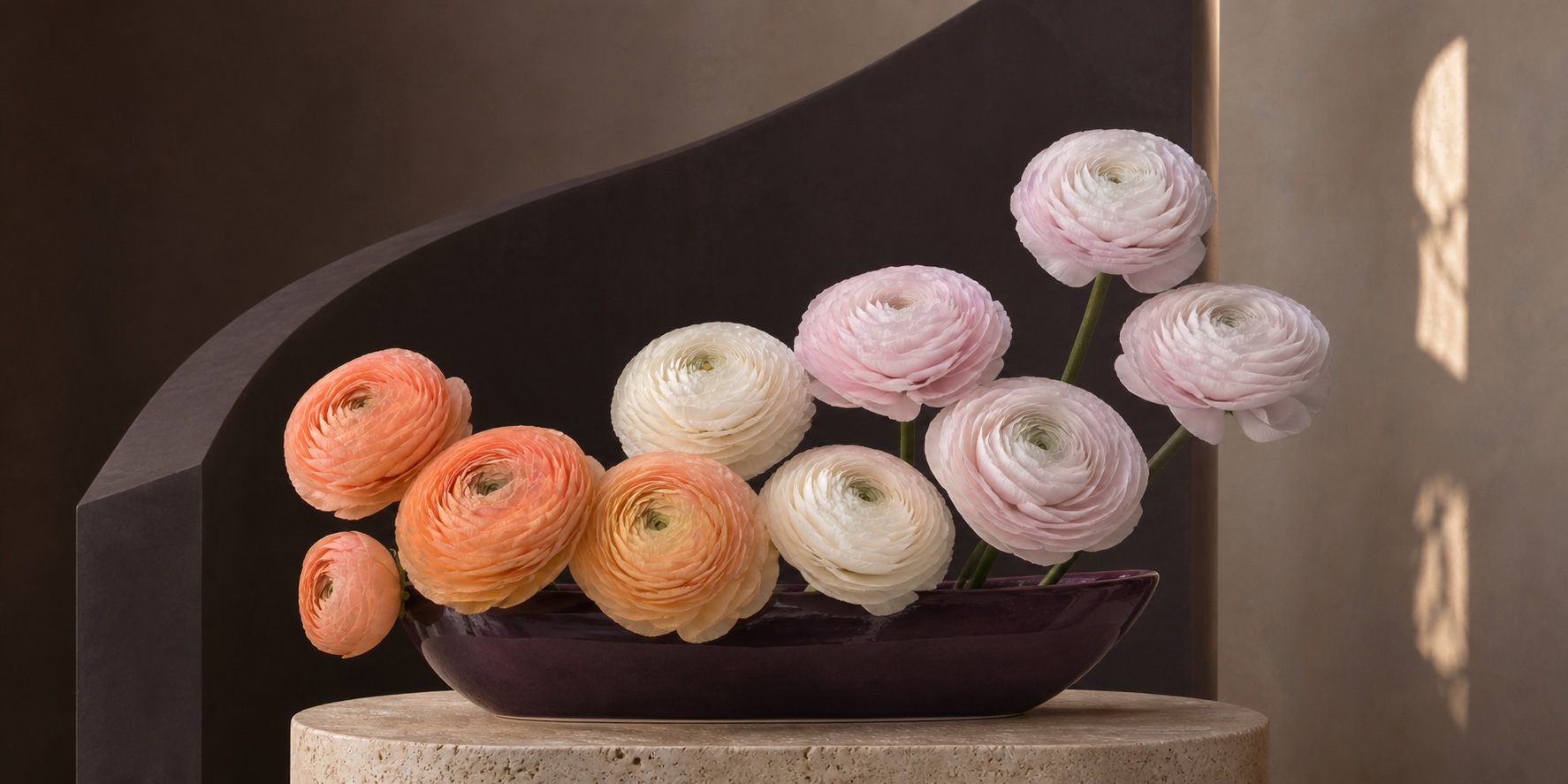 Cloni Success ranunculus in a low editorial arrangement