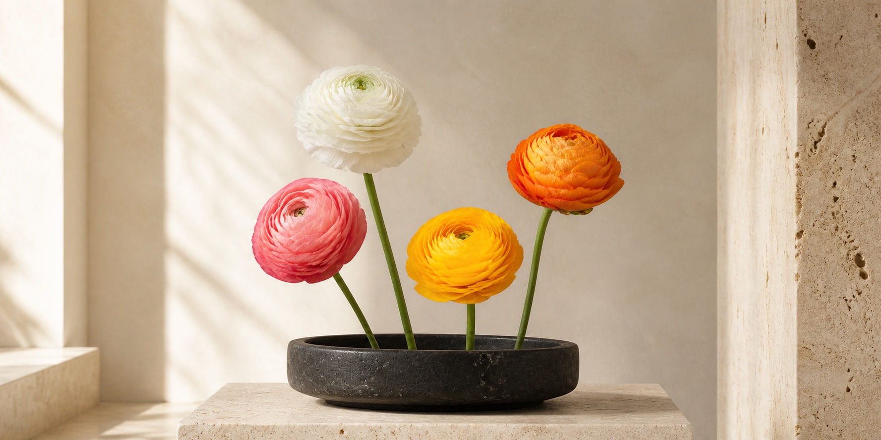 Four Elegance ranunculus colors in a dark stone bowl