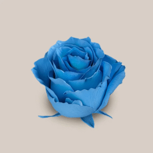 Mondial Blue Teal