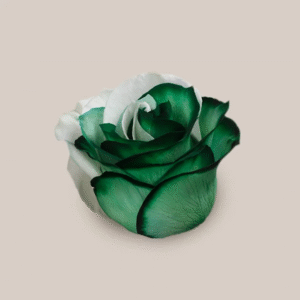 Mondial Green White