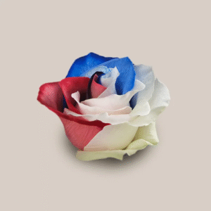 Mondial Patriot