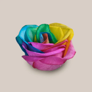Mondial Rainbow