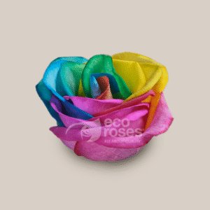 Mondial Rainbow