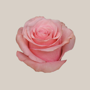 Be Sweet