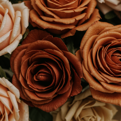 Protected: Sunset-Inspired Roses: A Must-Have for August Elegance